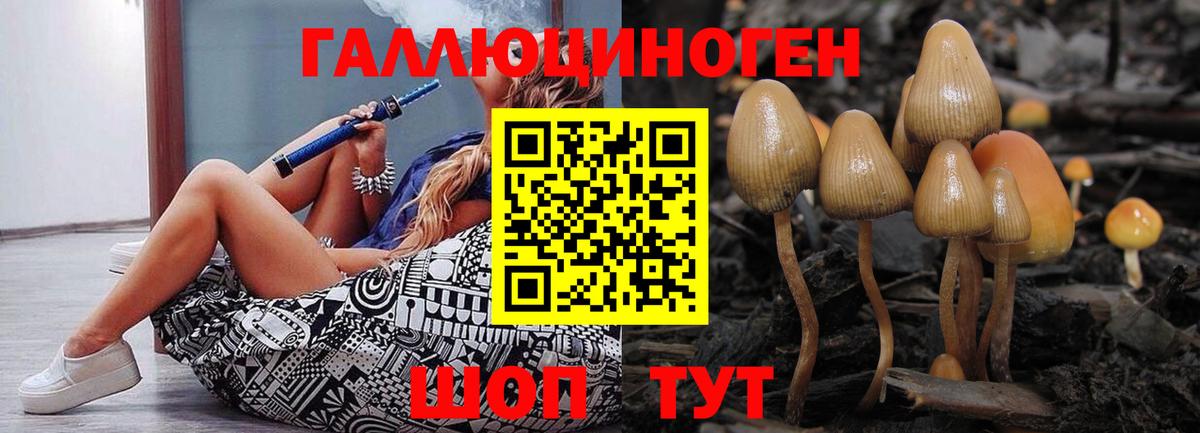 Галлюциногенные грибы мухоморы  Псилоцибиновые грибы мухоморы  Луга  Вход с VPN 
